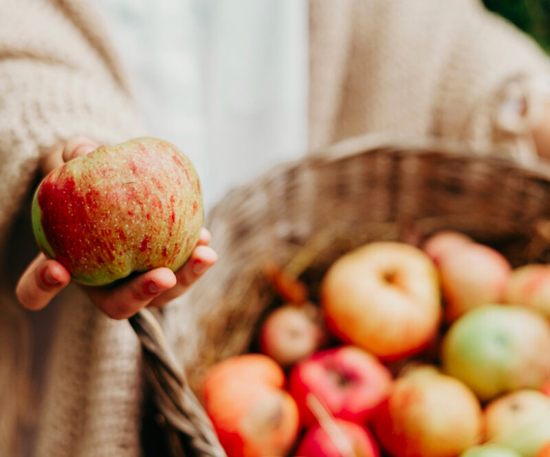 Appels plukken, hoe werkt het?