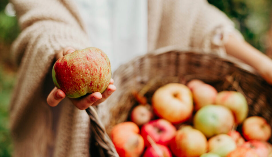 Appels plukken